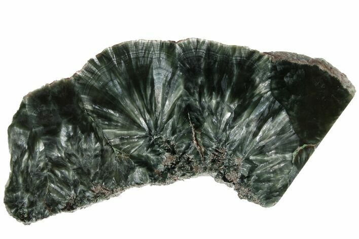 Polished Seraphinite Slab - Siberia #183499